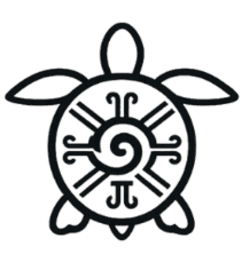 Tortuga Galería Logo
